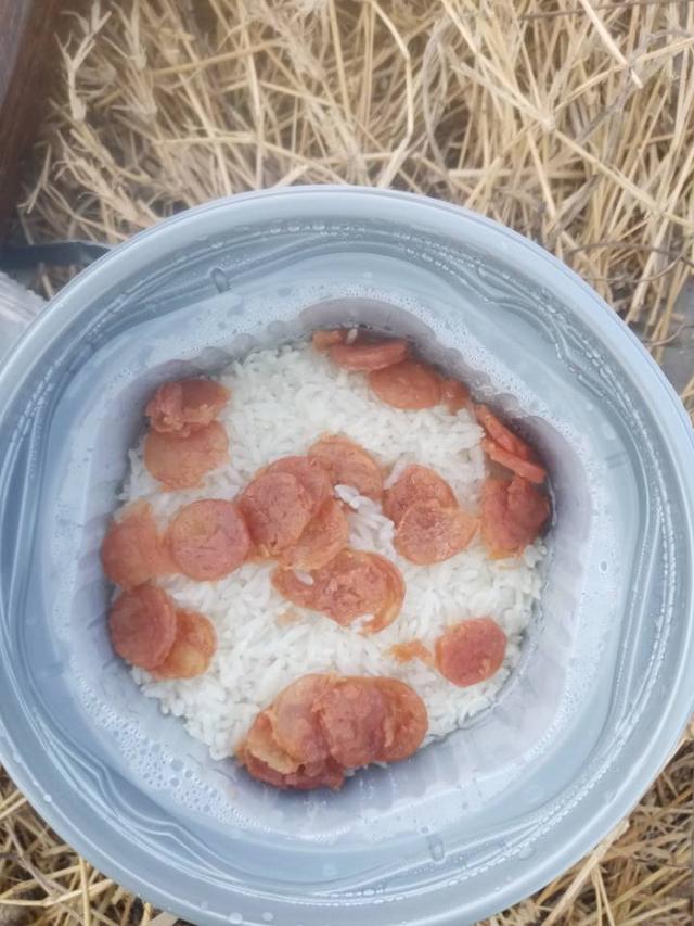 |再战X基地,这次想要爆护不容易