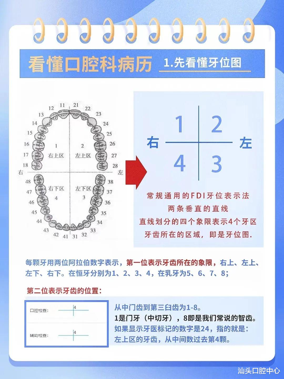 口腔健康|四张图,教你看懂牙医写的病历