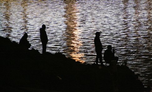饵料|如果你想夜钓,这些细节不能忽略
