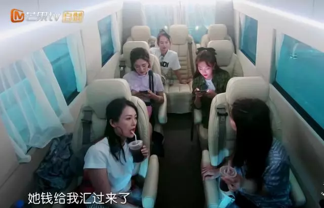 谢娜|他们又被群嘲了?