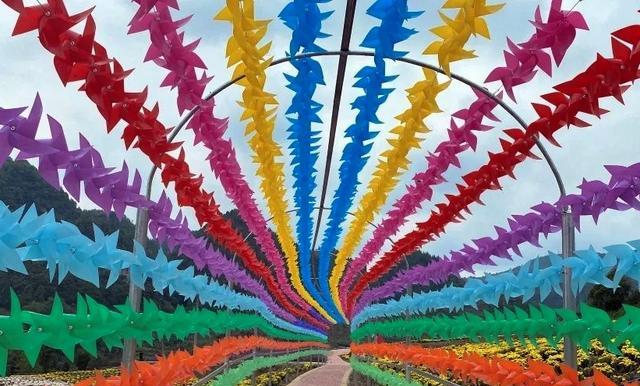 贵阳|贵阳这片唯美花海你还没去过？遛娃拍照赏景胜地，没来过太遗憾