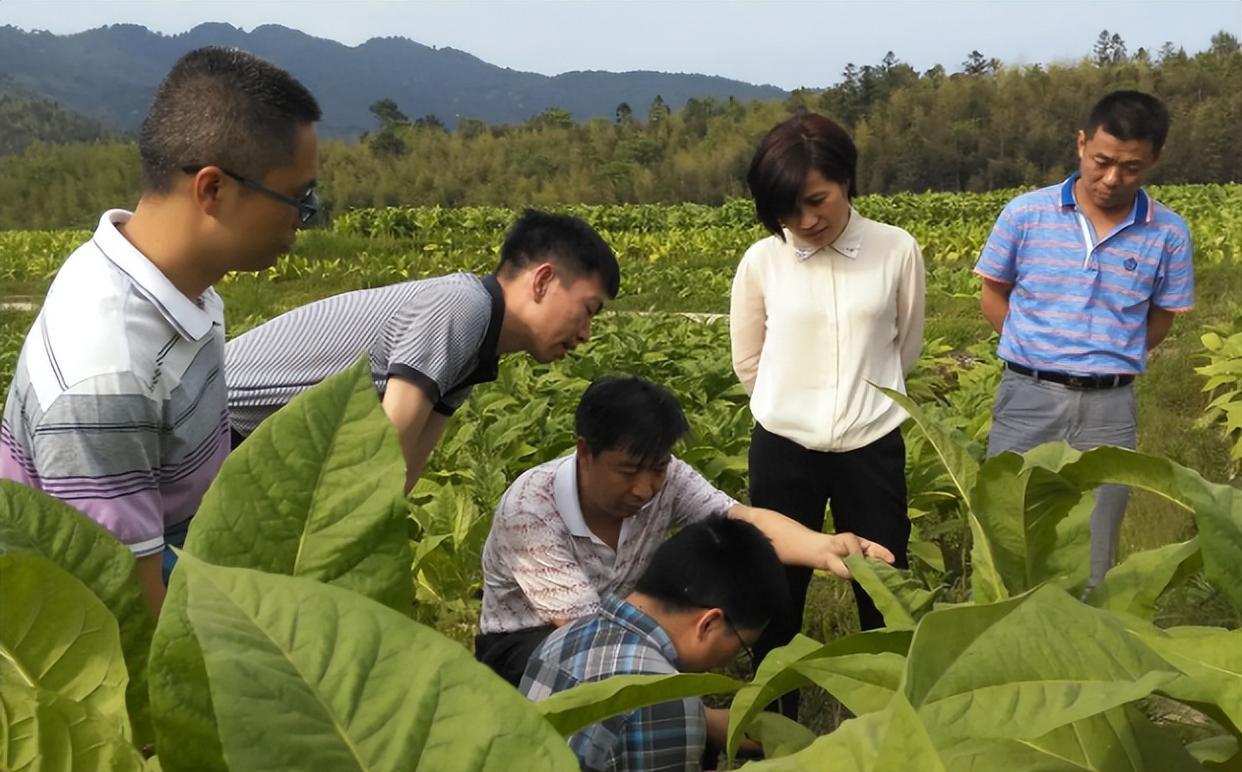 大学生|一国企开始秋招，符合条件者无需笔试面试通过即可，工资还不低