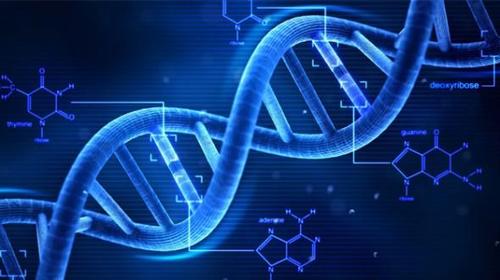 新版诺亚方舟?科学家新项目为地球上所有物种进行基因测序