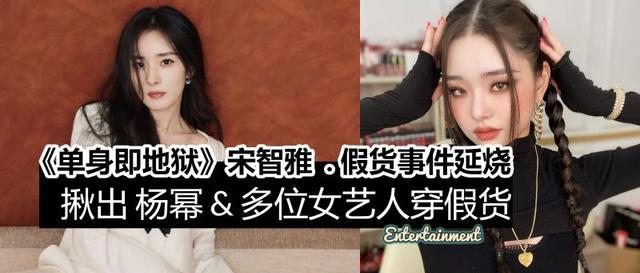 宋智雅|宋智雅被曝光穿假货后，连带杨幂与刘亦菲也被揪出假货证据