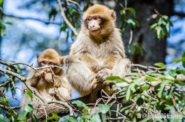 浙江省|摩洛哥美丽小城系列——伊夫兰