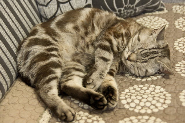 清包9万装温馨小窝,厨房文艺范功能强大,夜晚的床很浪漫!