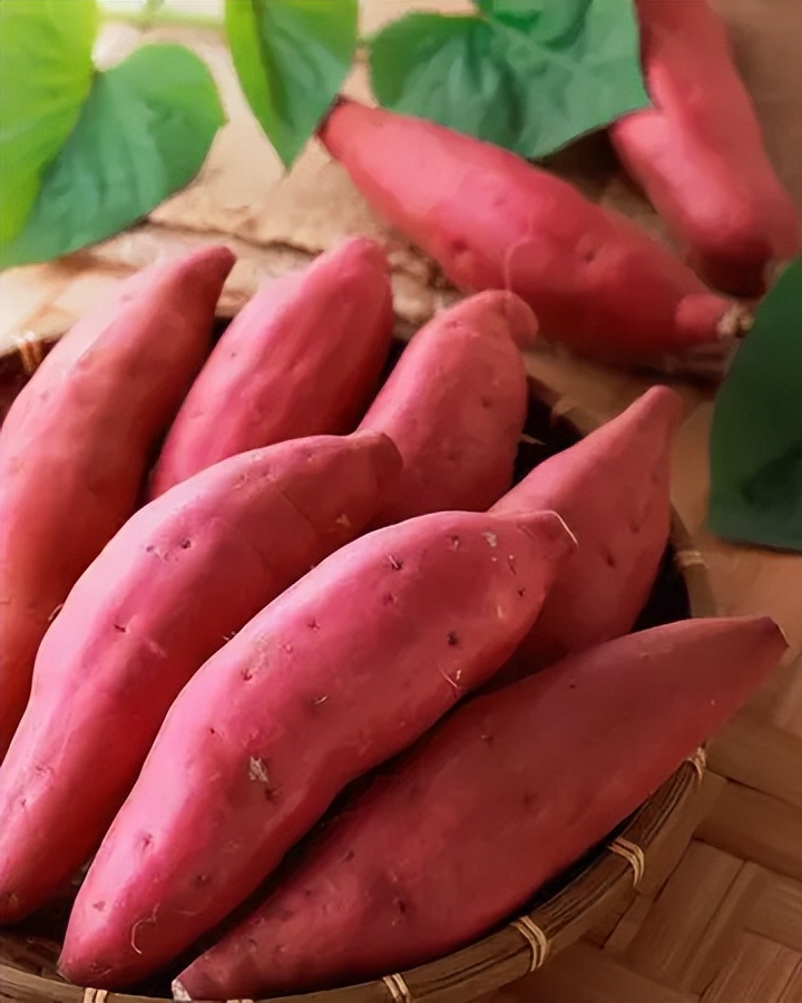 红薯|尿结石多吃红薯,最快7天可排石,怎么吃是重点