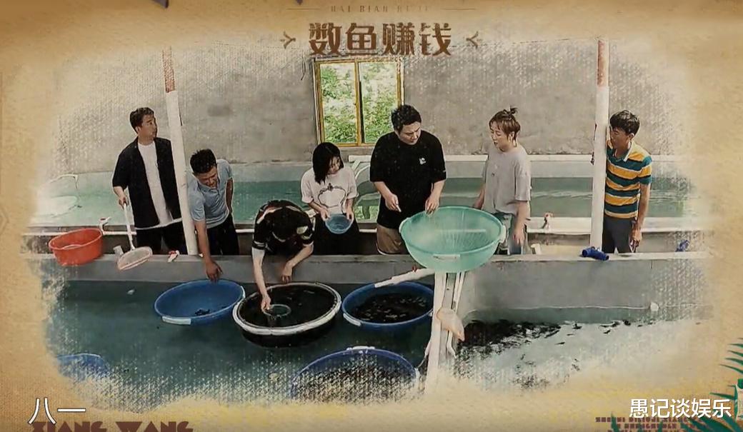 贾玲|《向往6》请来了沈腾和马丽，“不工作就在三亚”的贾玲为何没去