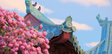 男团|又出爆款,这华人女导演好敢拍