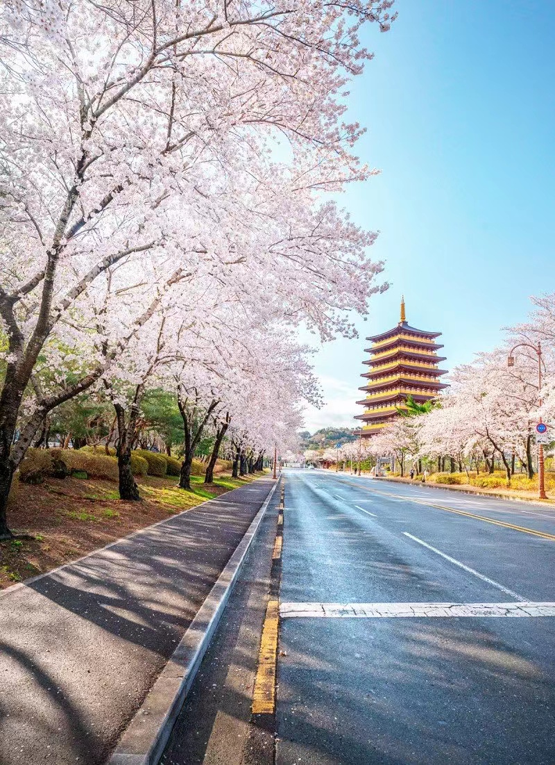 郑智薰|Rain金泰希撇下俩女儿享受夫妻单独旅游，Rain为老婆拍照尽显甜蜜