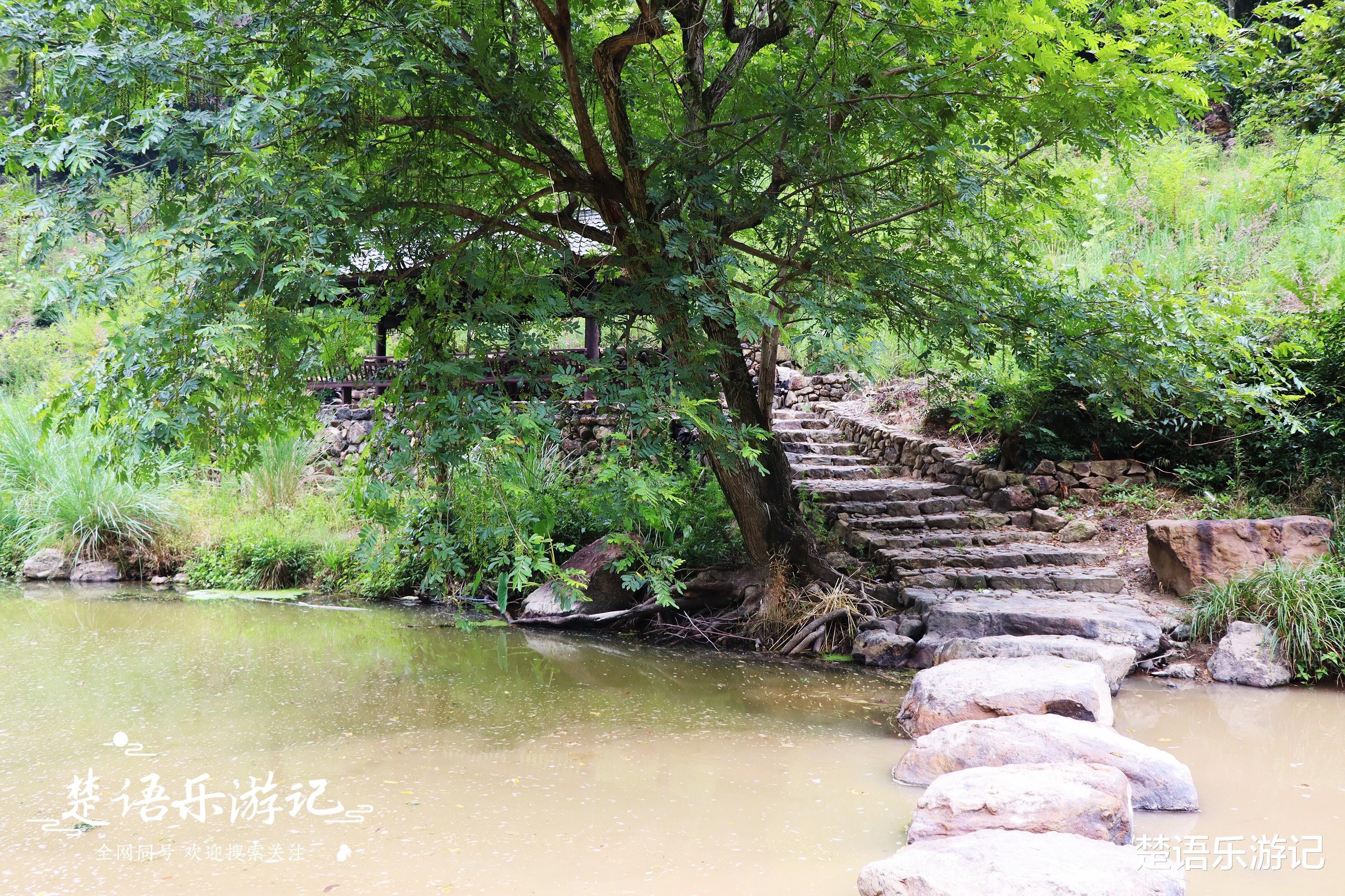 沈阳|浙江龟溪江畔有个古村,岩奇石怪溪清,年游客量居然多达10万人次
