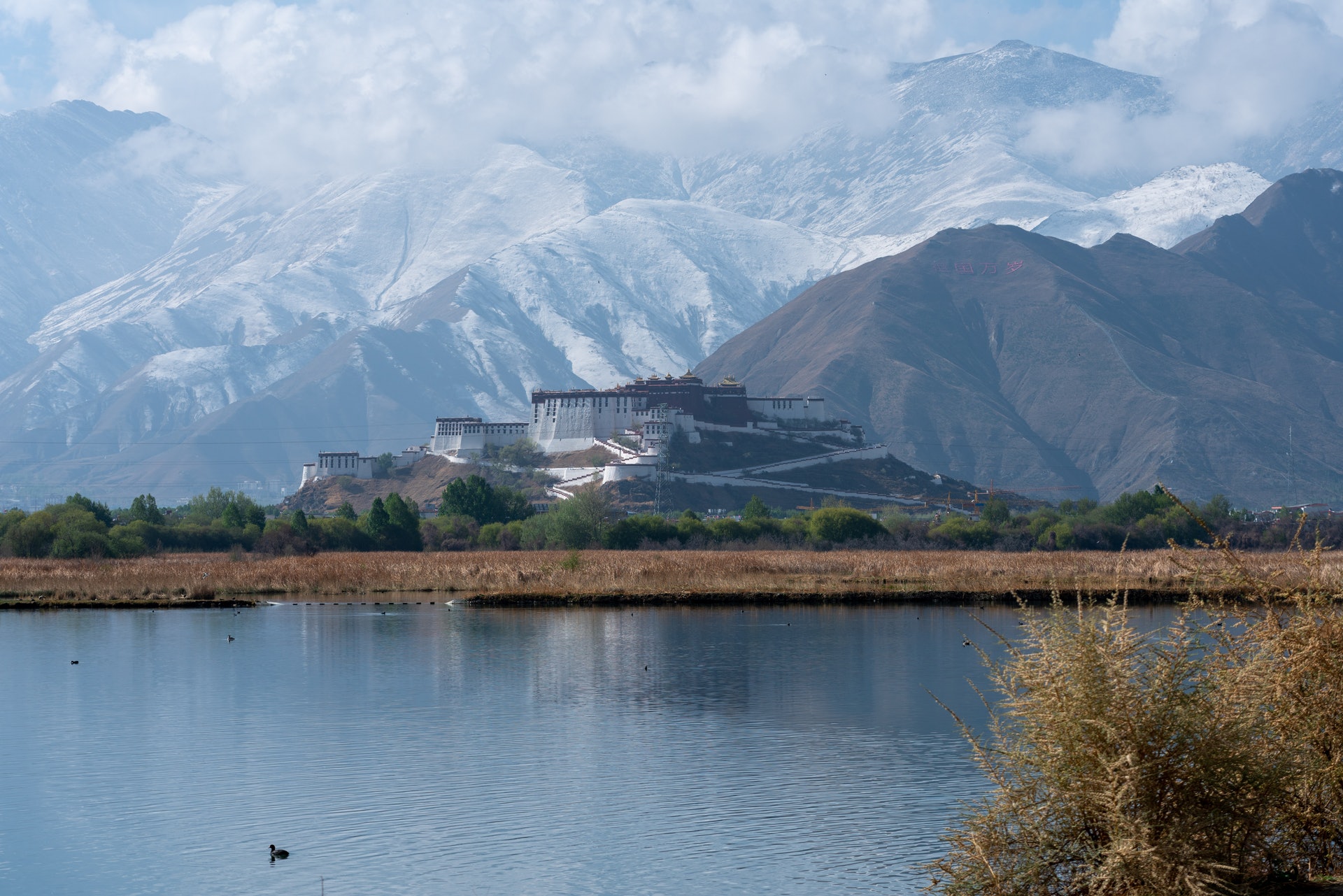 西藏|三年仅有一例新冠确诊，中国的这片净土为何能独善其身？