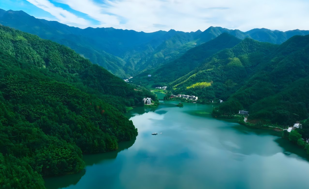 身份证|初冬，这里超萌！