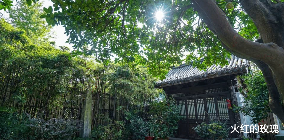 宁波|宁波月湖，地位不亚于西湖之于杭州