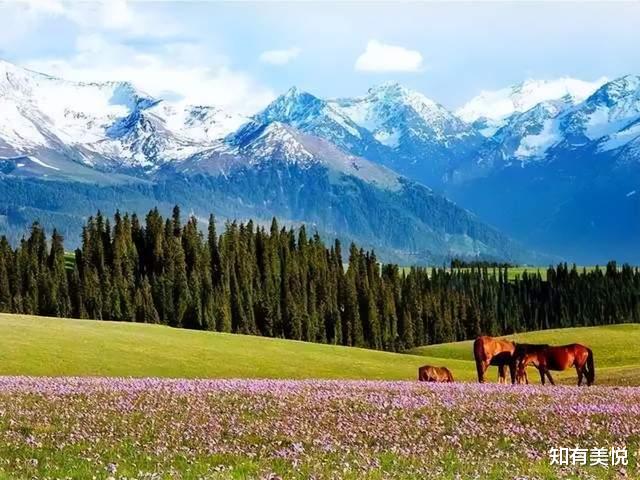 旅行|推荐9个最佳自驾旅行地，人少景美，快快拿上你的行囊，出发吧！