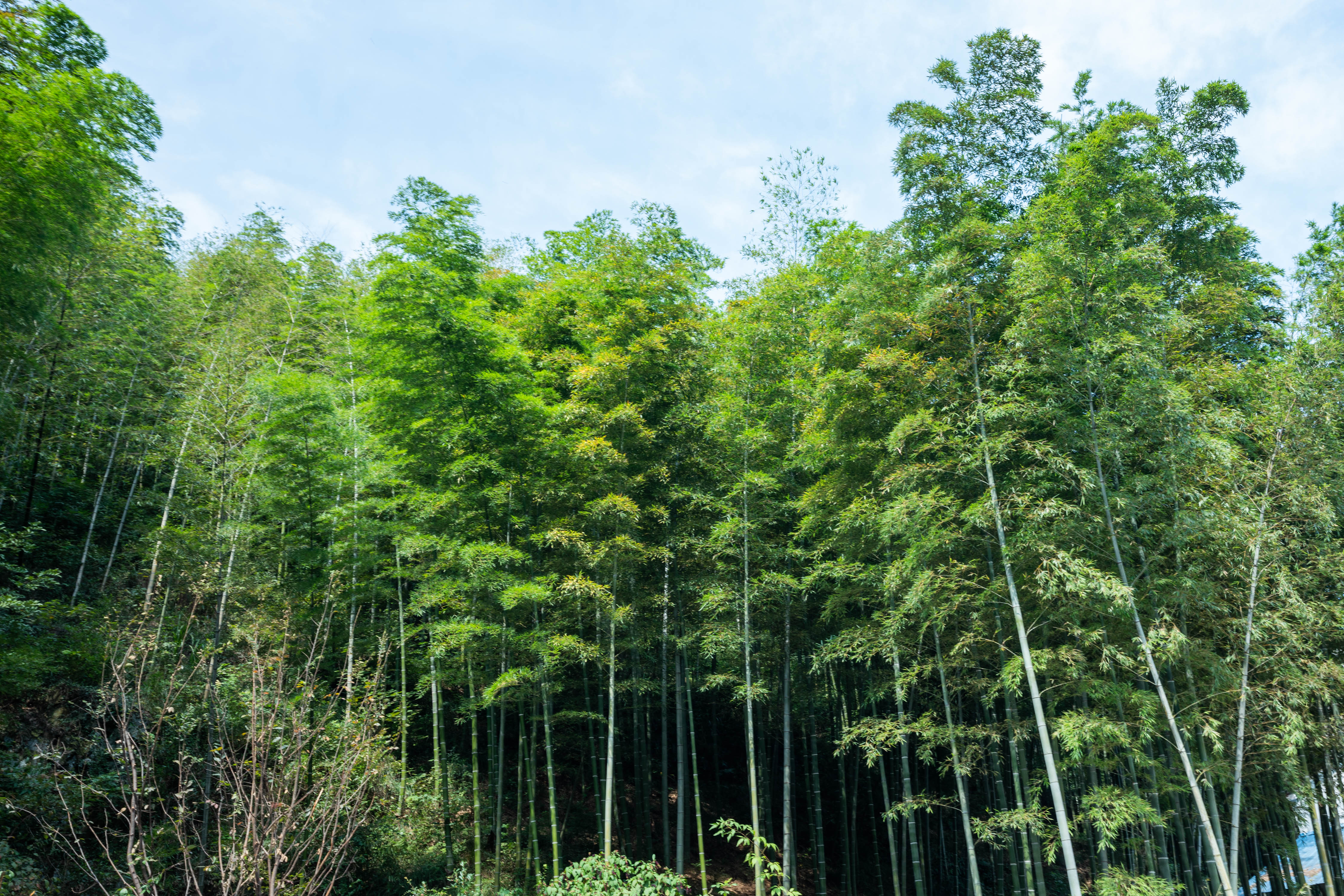 溧阳|【溧阳打卡】寻一处明净山水，觅一片人间诗意