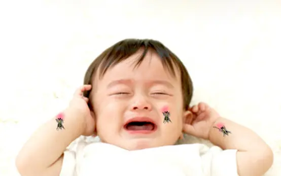 “万物有灵,蚊子除外”,究竟是什么气味在吸引蚊子?