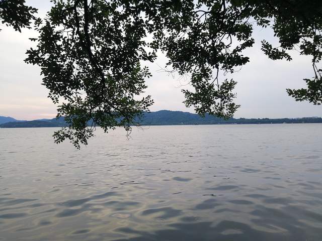 |美景一时观不透,天缘有份画中游。西湖,你仍是十几亿人的娇宠