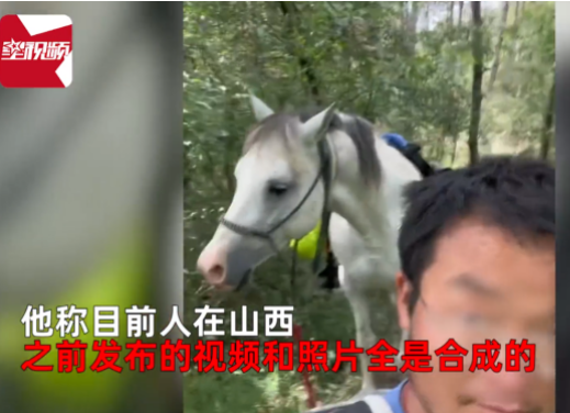 山东一32岁男子徐某,自称高中毕业后前往欧洲留学,之后在意大利做了几年辅导老师