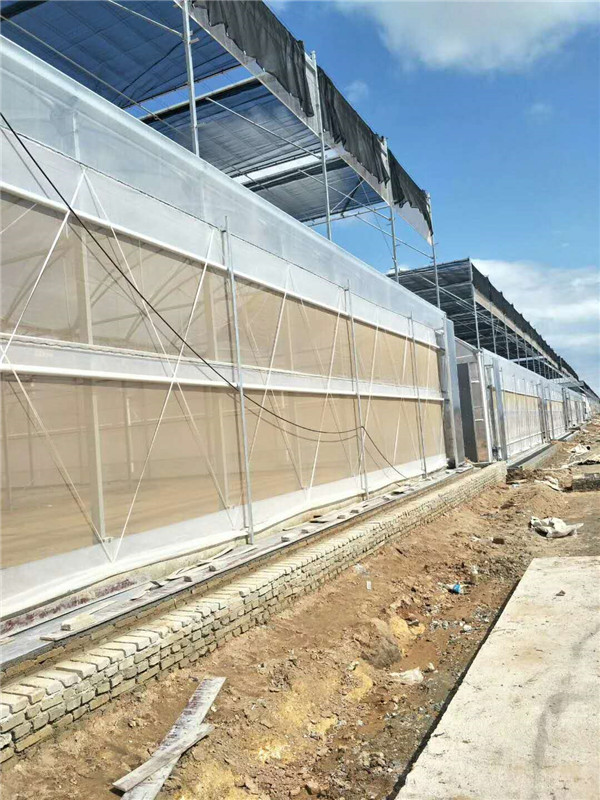 温室大棚湿帘保养