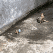 穿衣搭配|“这是阿里巴巴20年前的招聘广告，那时的工资真的不低哈！”