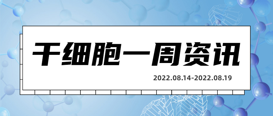干细胞一周资讯(08.14-08.19)