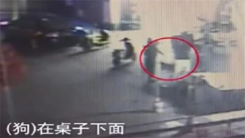 上海男子遛狗不拴绳被路人骂,抄起板凳狠砸七下,冲动行为酿血案