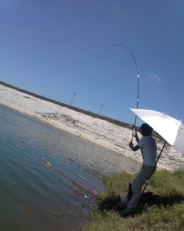 |入门选长竿，自讨苦吃