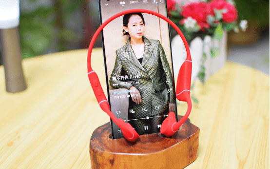 团购|蓝牙运动耳机什么品牌性价比高,跑步适合戴什么样的耳机