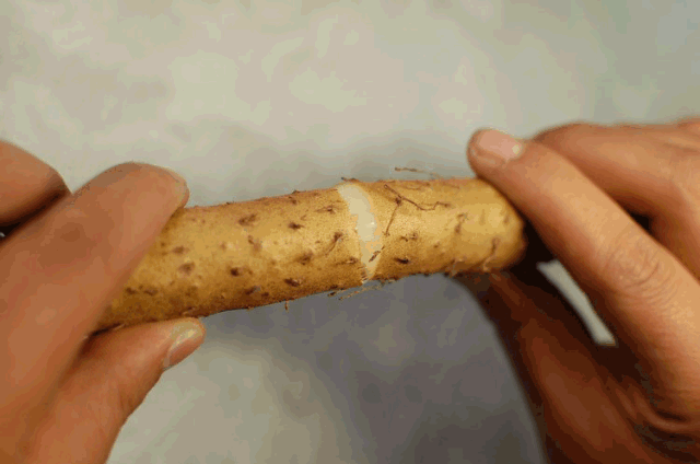 蘑菇 减肥公认7大刮油食材，没准就有你爱吃的！