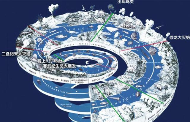 3亿年前的“螺丝”镶嵌在石块中,就此展开一个史前的巅峰时代