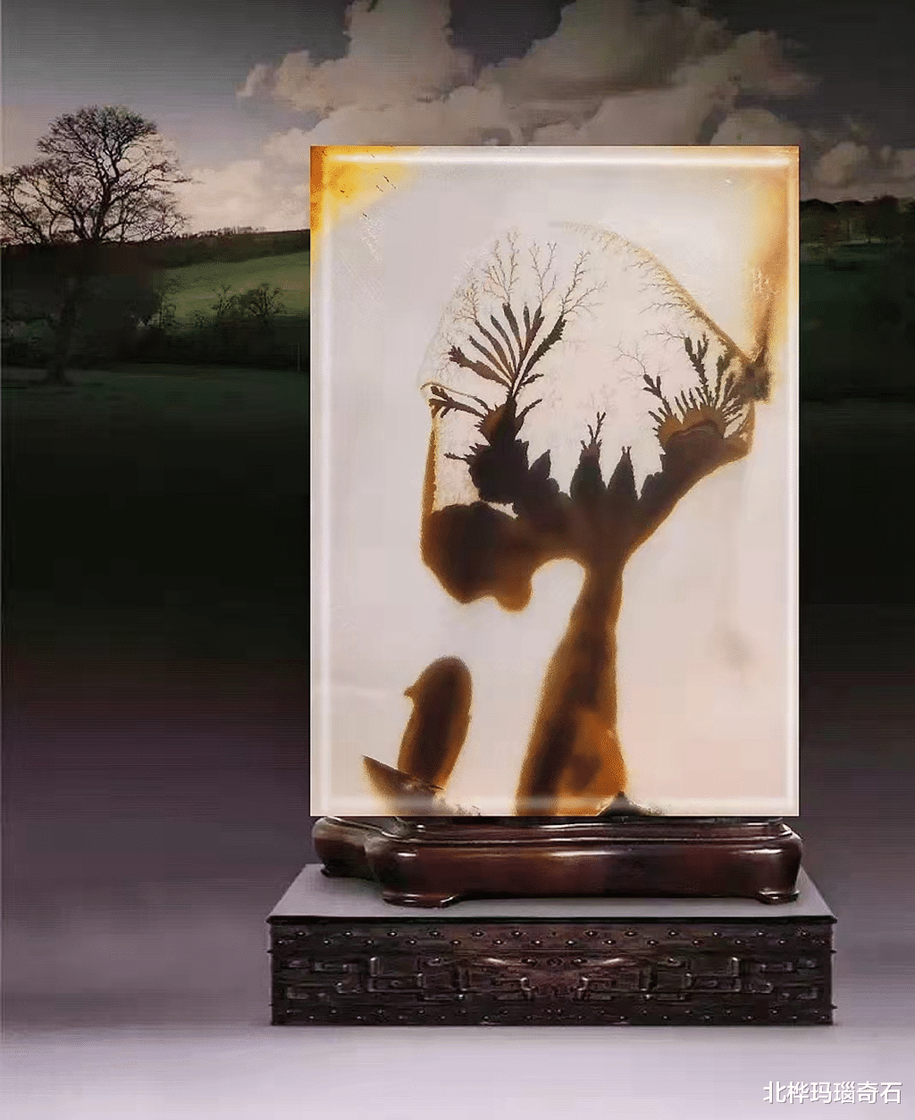 美丽|好看的石头有谁会不喜欢