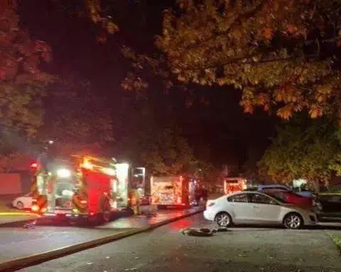 半夜突然被猫扑脸狂抓，她醒来正要开骂，惊见大火吞噬家门！