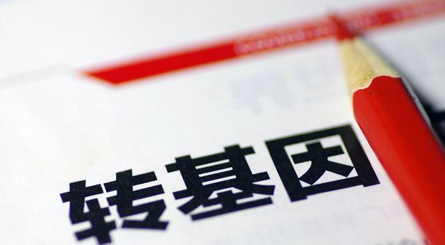 转基因作物产业化对于中国农业十分重要