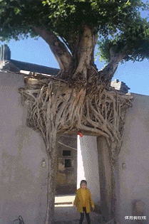 和女上司困在电梯里，女上司看了我一眼说：你想涨工资吗