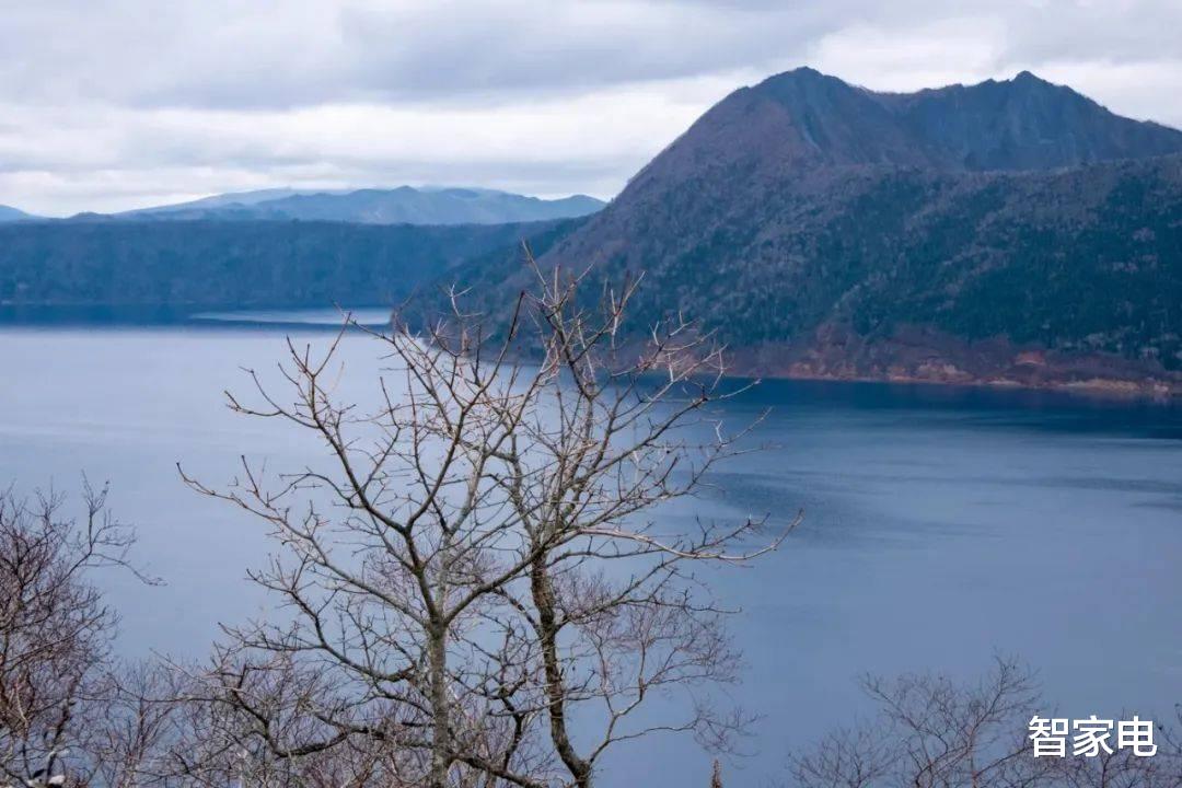 零售业|苏宁拉来美团作秀，即时零售不是家电实体店“补药”