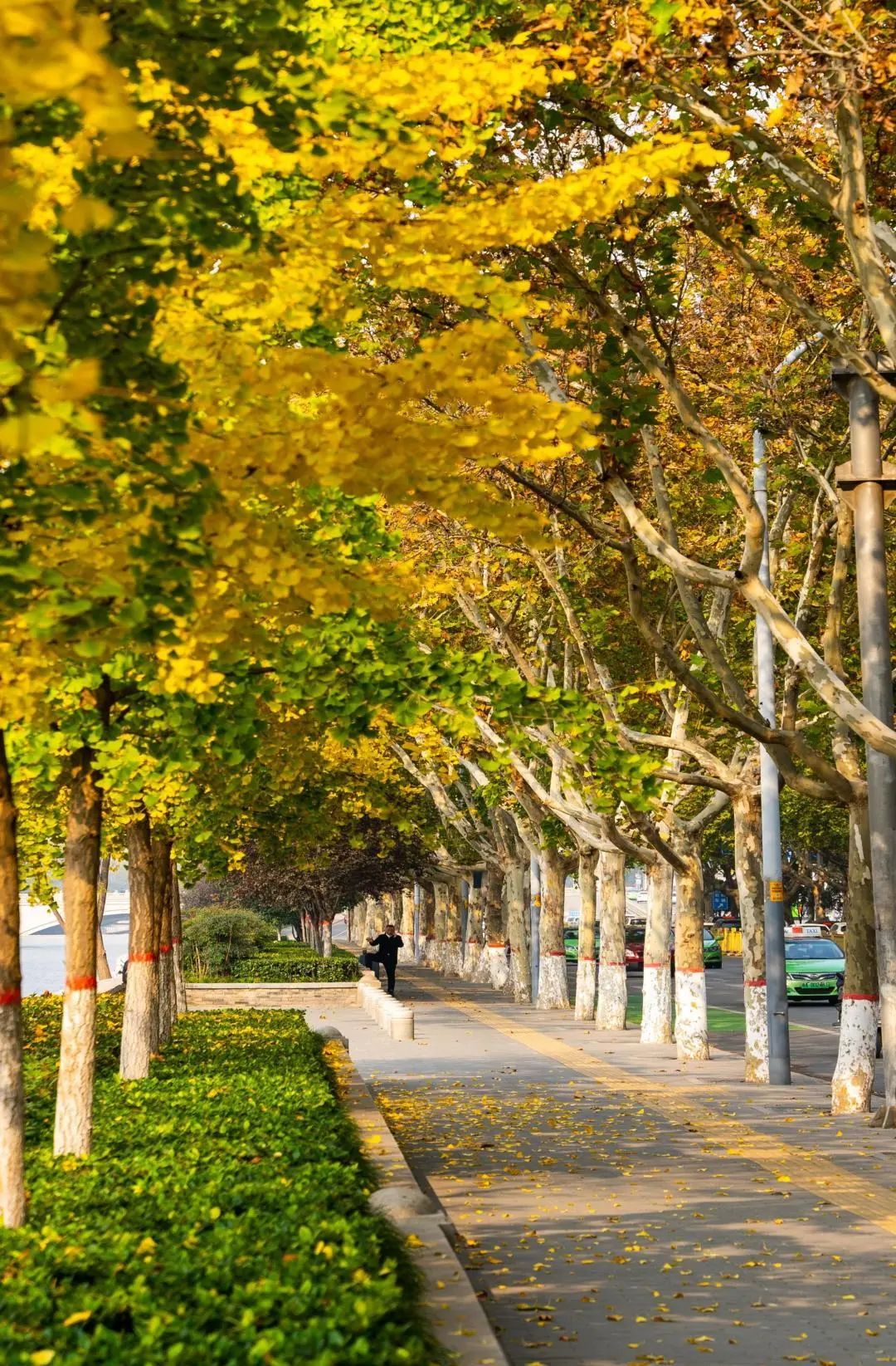 云南|二十四节气小雪感受西安古城墙之美景