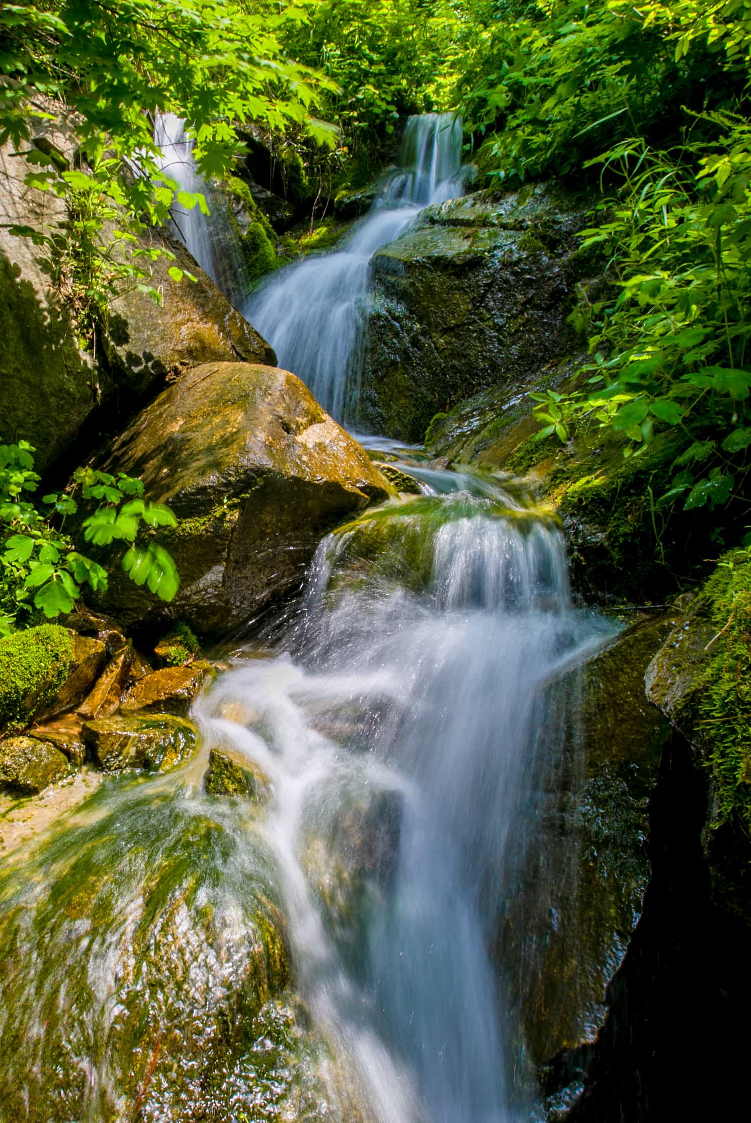 腹泻|0基础露营|一场说走就走的躺“营”计划