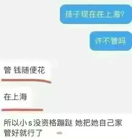 小S|小s参加友人婚礼，现场牌照姿势引网友热议