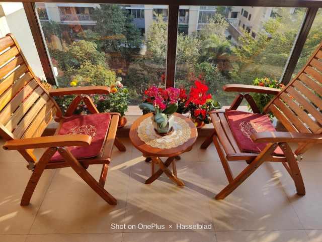 一加科技|带一加10 Pro回家过年，用哈苏色彩感受广东年味