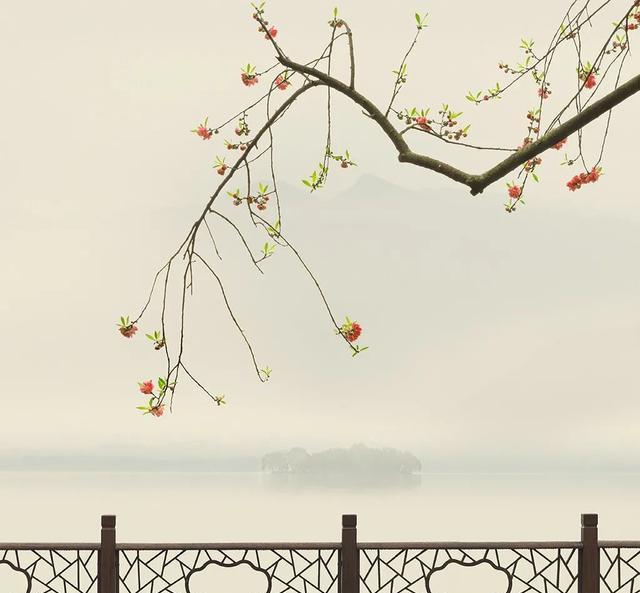 新手拍照容易走弯路,跟着摄影师学技巧,让照片更有深度