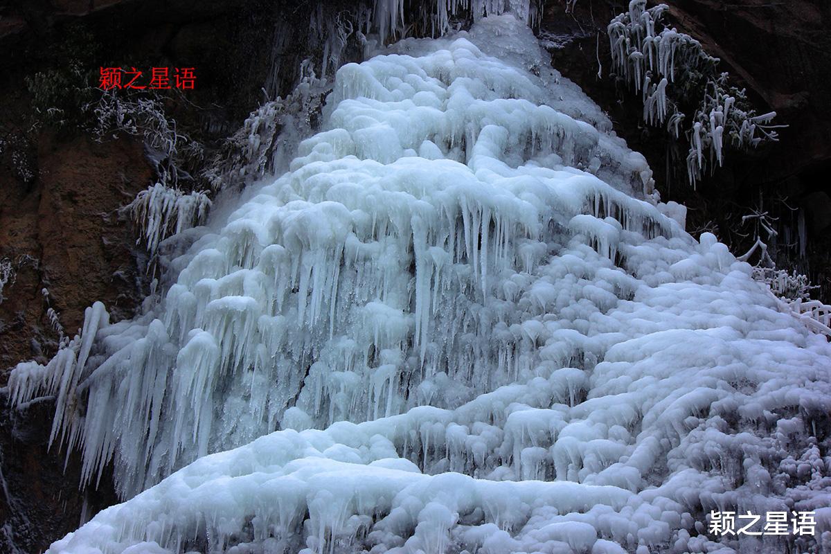 宁波|八处赏雪胜地，林海雪原，分外妖娆