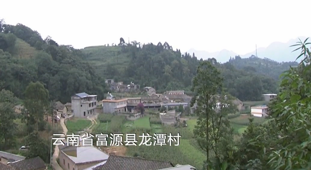2015,丈夫深夜惨死家中,奸夫情妇双双入狱,公公:这儿媳不是人