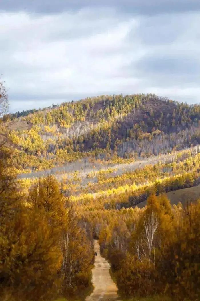 草原|【畅游陇原】这里有条古老的河——后川河