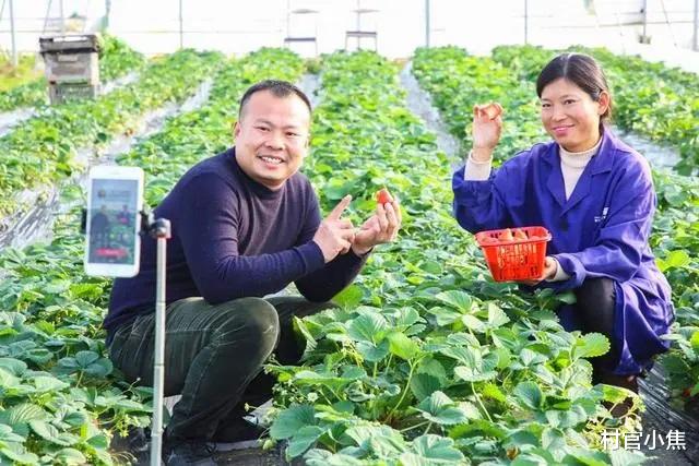 招聘|农村一新职业火了，年收入超20万，农民有盼头了，多地正招聘！