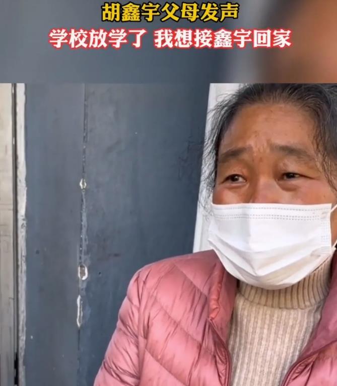 于事无补,80多天后上千人上山搜寻胡鑫宇,已经做过最佳时机了