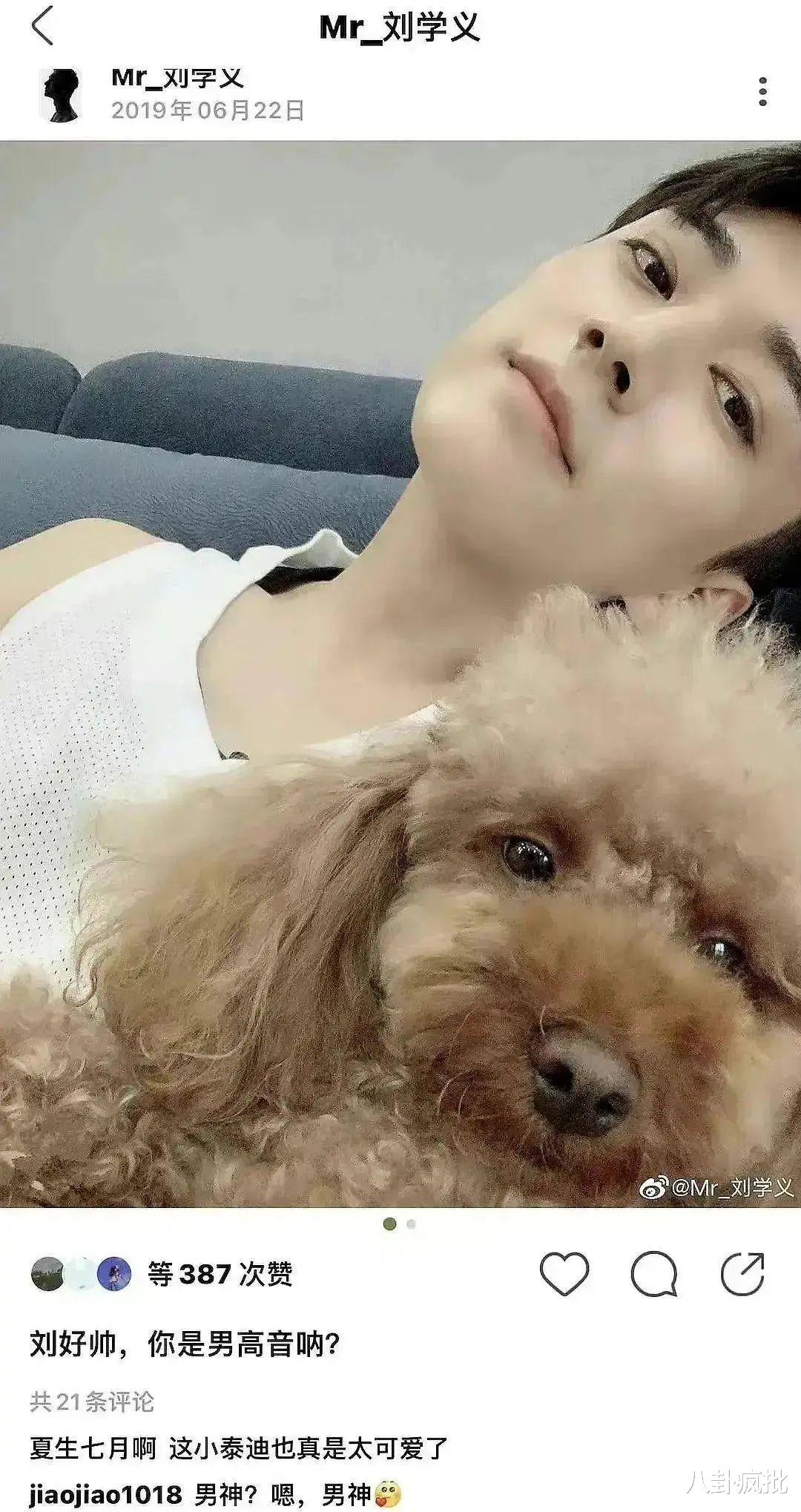 杨紫|狗仔实锤杨紫撒谎？鹿晗不踩鹿哈？黄晓明袁泉摆烂？王一博陈晓被空降？