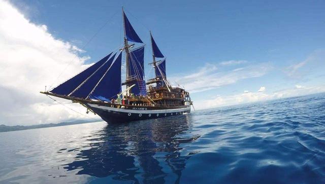 许敏|许敏告到月球上也赢不了，外国人入列杜粉，大娘的嘴硬是降人之物