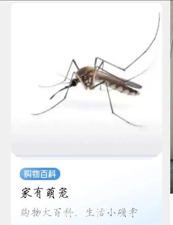 膳食纤维 奇葩作业：在家数1万粒米，你会怎么完成？丨搞笑囧图