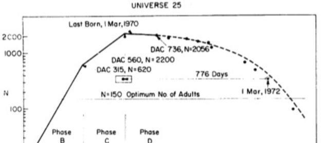 引人深思的25号宇宙实验:人造天堂里,在鼠群560天后走向灭亡